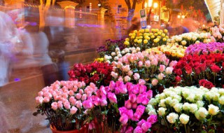 家里为啥不能放仿真花 家里为什么不能放仿真花