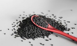 芝麻的储存方法（黑芝麻储存方法）