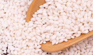 糯米配什么煮粥好吃(糯米配什么煮粥好吃一点)