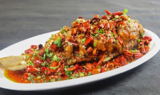 什么人不能吃草鱼（什么人不可以吃草鱼）