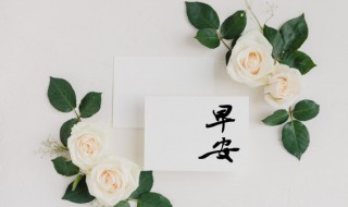 与健康有关的早安心语（关于健康的早安心语）