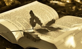 秋天出生的女孩子取什么名字好（秋天出生的女孩子取什么名字好出息自诗经）