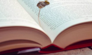 诗经里寓意大气的女孩名字（诗经里寓意大气的女孩名字大全）