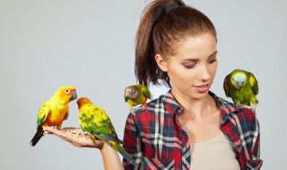 十大名贵鸟 十大名贵鸟类