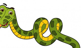 蛇进屋是凶还是吉（蛇进屋是凶还是吉好）