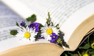 男生小名好听霸气（男生小名好听霸气叠词）