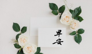 早上奋斗正能量的短句 早上奋斗正能量的短句子图片