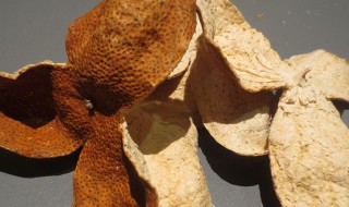 陈皮是什么做的 真正的陈皮是什么做的