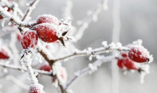 天气凉了发给顾客的问候语（天气渐凉发给顾客问候的话语）