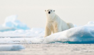 天气转凉发朋友圈的说说 天气转凉了发朋友圈的句子