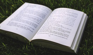 从诗句中摘取的名字 诗经取名牛宝宝