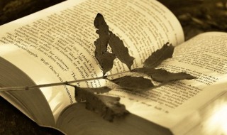 诗经男孩名字高端大气 诗经取名男孩牛宝宝