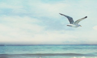 早安心语励志2021最新 早安心语励志2021最新暖心