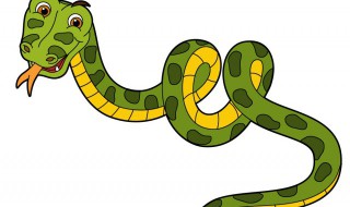 蛇入屋是吉是凶 眼镜蛇入屋是吉是凶