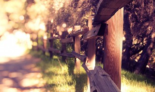 最好的早安问候语 最好的早安问候语图片