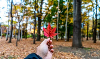 秋风微凉的朋友圈句子 秋风凉的句子朋友圈转发