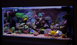 家中客厅摆放什么吸财 客厅怎么摆放最聚财