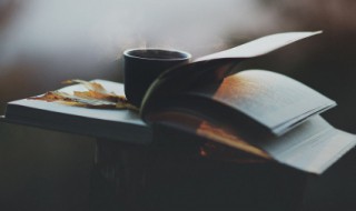 住的组词（住的组词是）