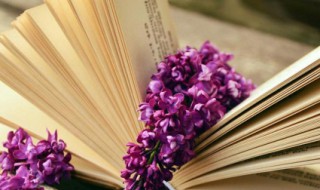 封字组词 封字组词和部首拼音