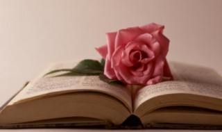 抢的组词 抢的组词是什么