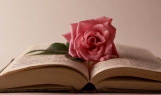 底怎么组词（啪怎么组词）