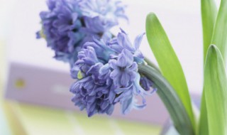 推的组词（推的组词是什么?）