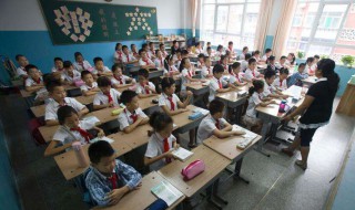 数见不鲜怎么读（数见不鲜怎么读音普通话）