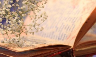 顶字组词 眼字组词