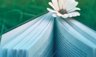 强字组词 强字组词和部首