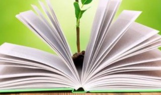 止的组词 止的组词是什么啊