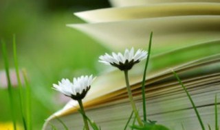 吹字组词（吹字组词二年级）