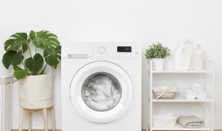 滚筒洗衣机怎么放洗衣液（全自动滚筒洗衣机怎么放洗衣液）