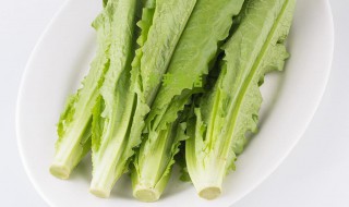 油麦菜什么人不能吃 油麦菜适合什么人吃