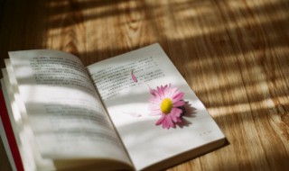 吔怎么读（吔怎么读什么意思）