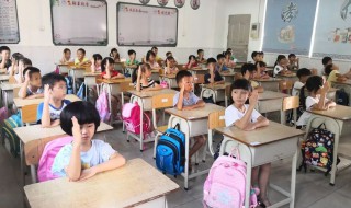 蝶组词2个字 蝶组词2个字3个词