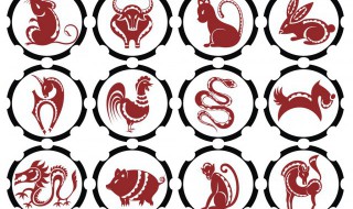 12生肖配对相生相克 12生肖配对相生相克对照