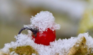 天冷了大家注意保暖的句子 天冷了大家注意保暖的句子说说