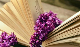 鹅的组词 洼的组词