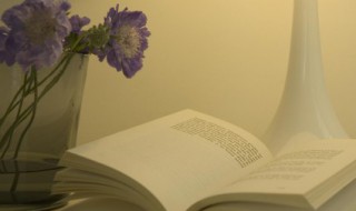 汉的组词（汉的组词和拼音怎么写）