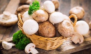 煎口蘑的做法 平底锅煎口蘑的做法