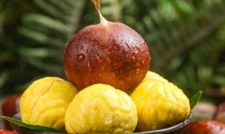 蒸栗子的做法（微波炉蒸栗子的做法）