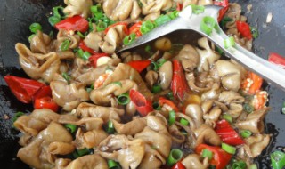 辣椒炒肥肠的做法（辣椒炒肥肠的做法大全）