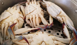 蒸河蟹的做法 蒸河蟹的做法步骤