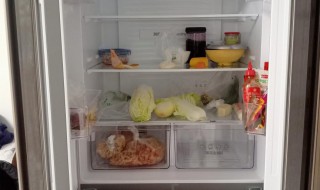 冷温室是什么意思 温室是什么样子的