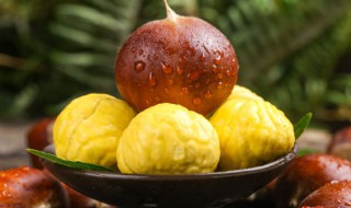 如何储存板栗（如何储存板栗不长虫）