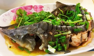 鲟鱼的做法大全家常 鲟鱼的做法大全 鲟鱼怎么做