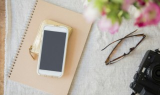 女生三观超正文案 三观超正的女生文案