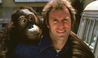 金拳大对决剧情介绍 拳王分集剧情