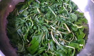 凉拌香干马兰头的做法（凉拌干马兰头的家常做法）