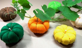 手工南瓜小屋的做法（南瓜小屋手工教学教案）